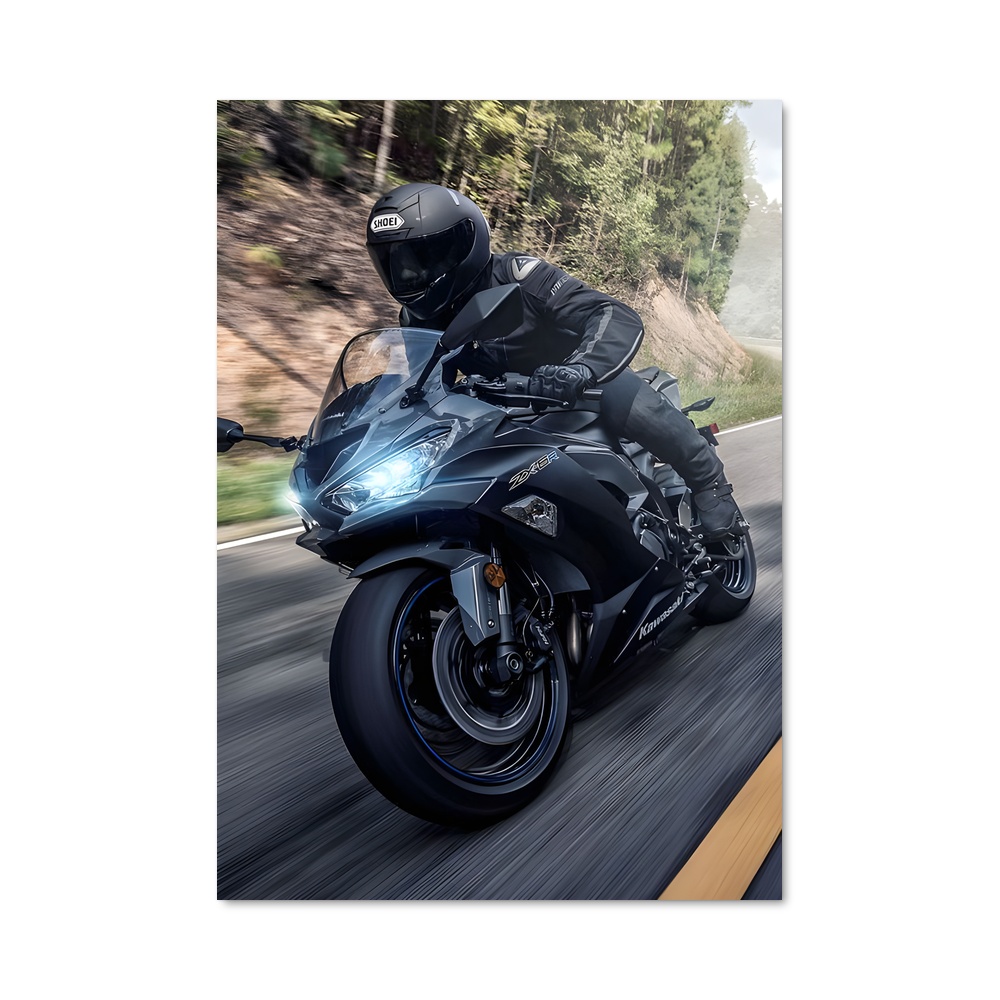 Poster envoûtant Ninja zx-r